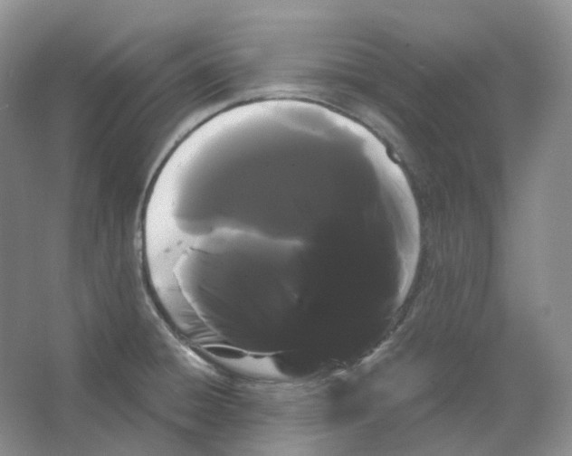 X0000066501428200604141711