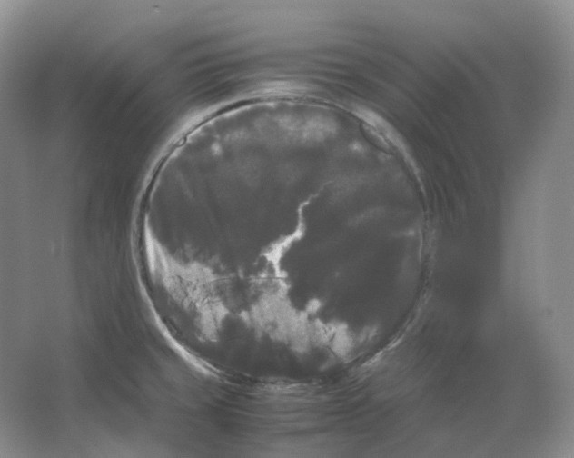 X0000066501429200604141711