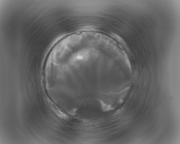 X0000066501435200604141711