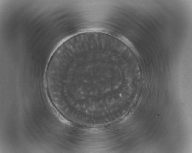 X0000066501436200604141711
