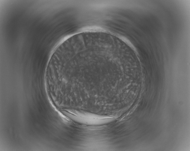 X0000066501440200604141711
