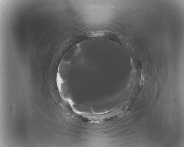 X0000066501441200604141710