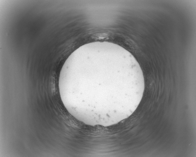 X0000066501442200604141710
