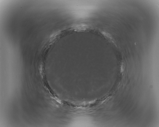 X0000066501445200604141710