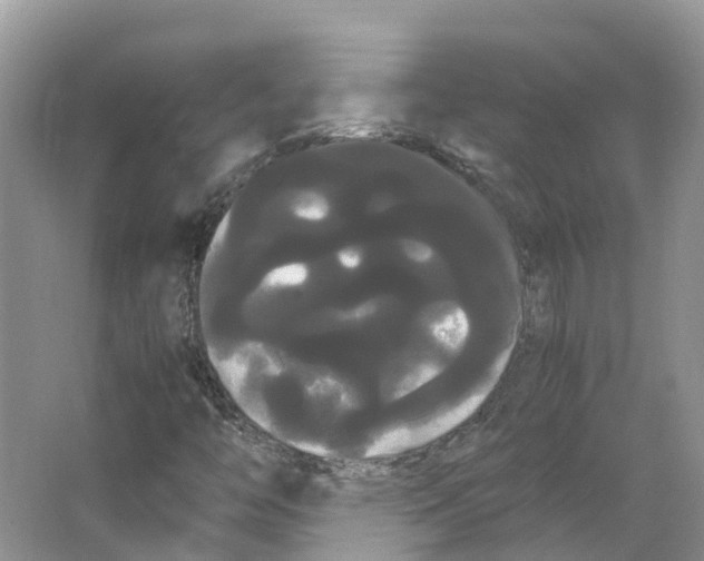 X0000066501446200604141710