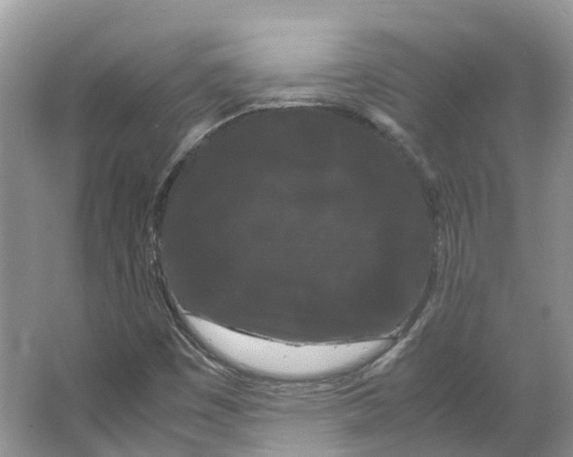 X0000066501449200604141710
