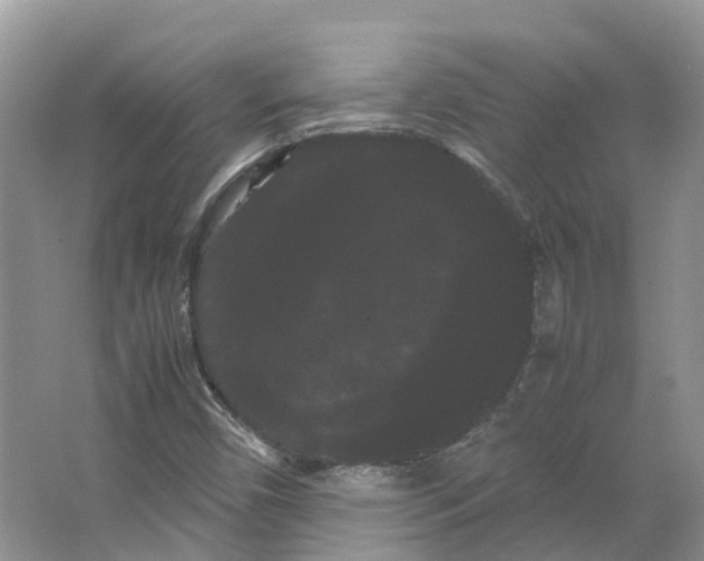 X0000066501450200604141710