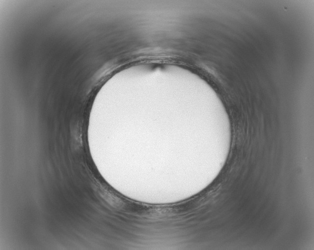 X0000066501451200604141710