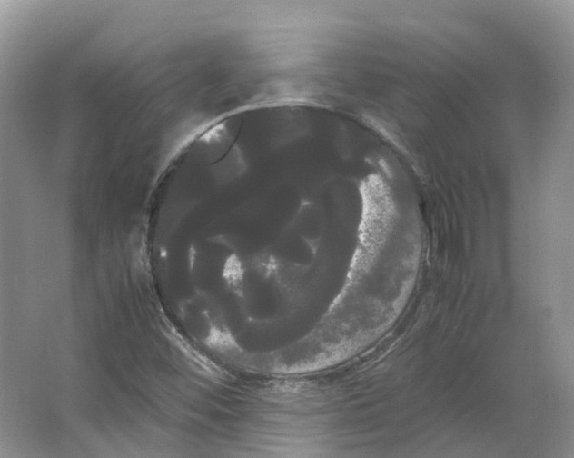X0000066501452200604141710