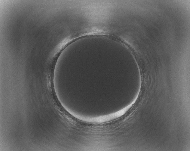 X0000066501455200604141710