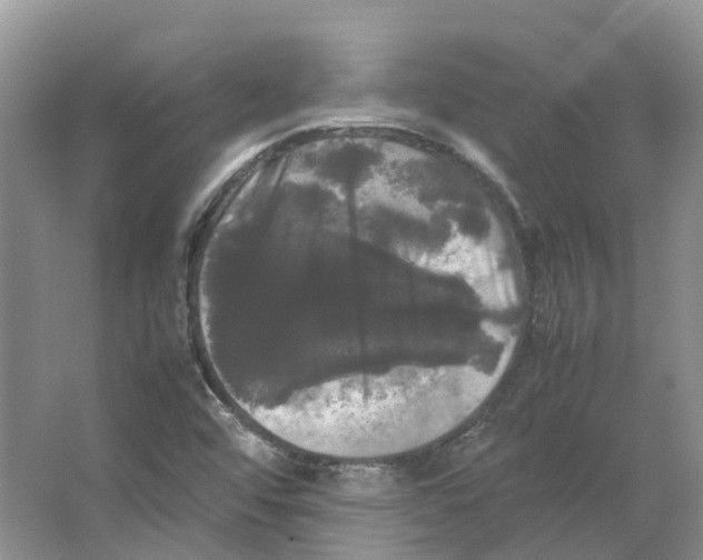 X0000066501456200604141710