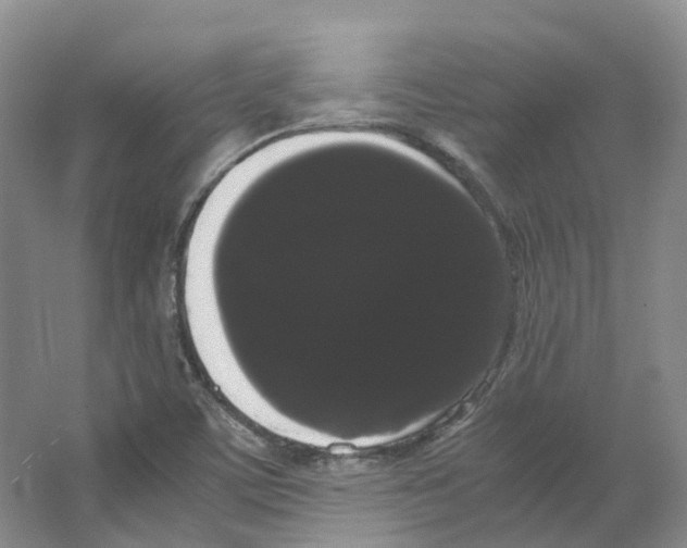 X0000066501459200604141710