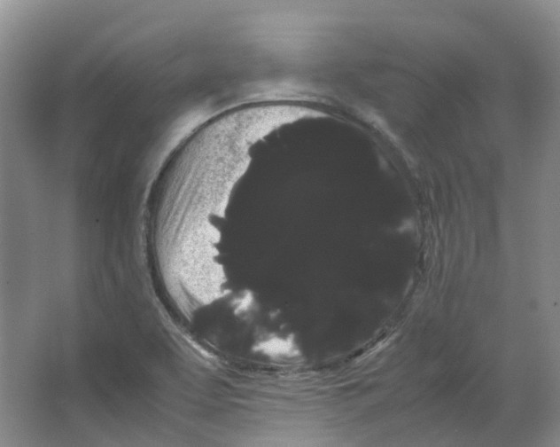 X0000066501463200604141710