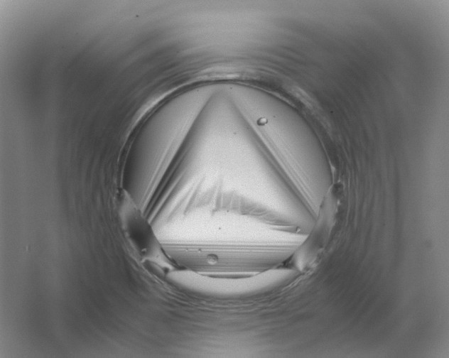 X0000066501465200604141710