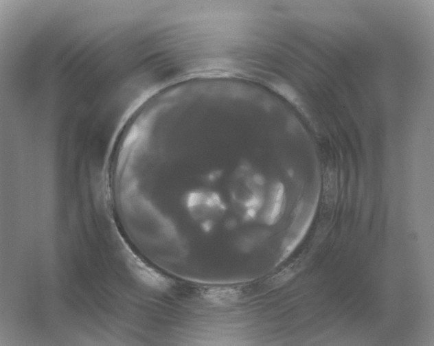 X0000066501466200604141710