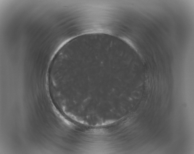 X0000066501468200604141710