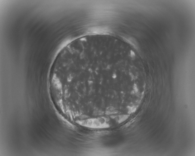 X0000066501471200604141710