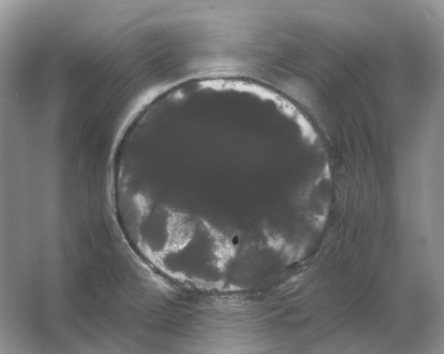 X0000066501472200604141710