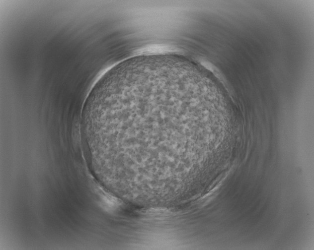 X0000066501473200604141710