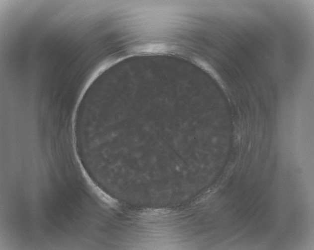 X0000066501475200604141709
