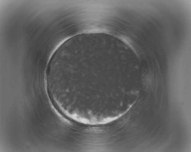 X0000066501476200604141709