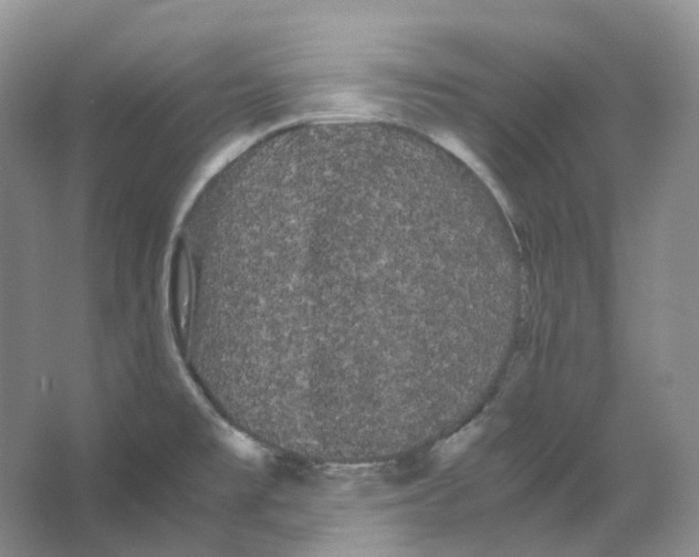 X0000066501477200604141709