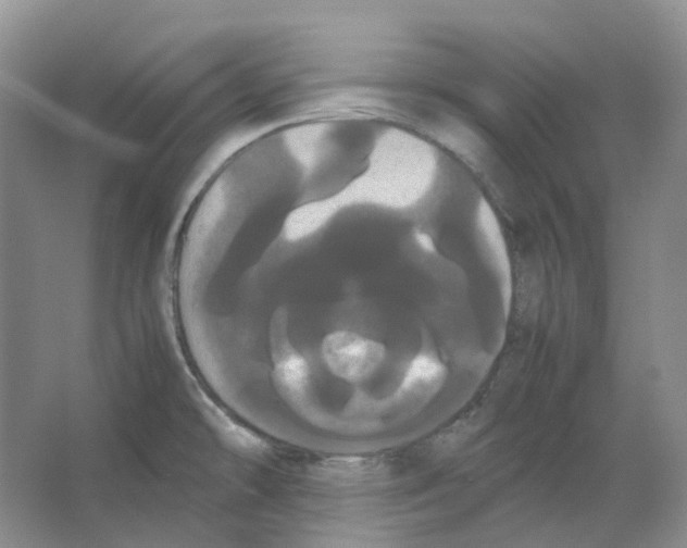 X0000066501478200604141709