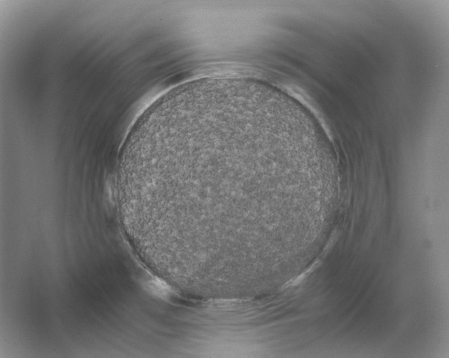 X0000066501481200604141709