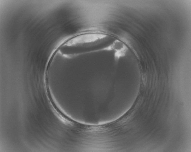 X0000066501482200604141709