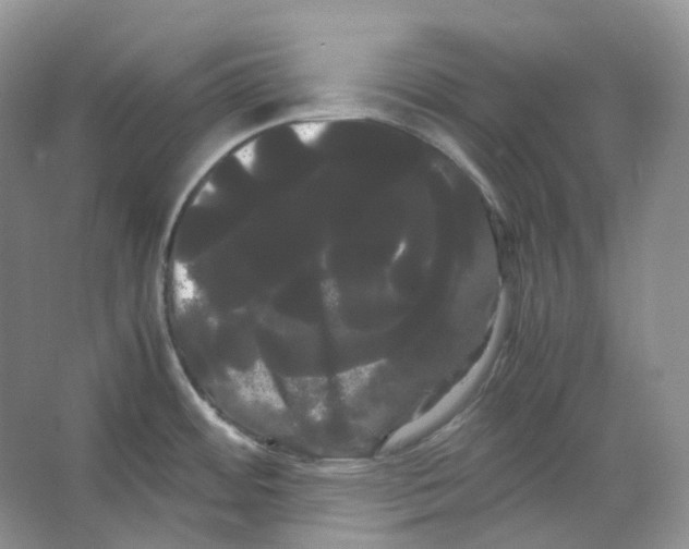X0000066501484200604141709