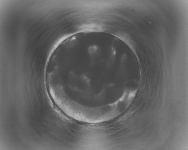 X0000066501488200604141709