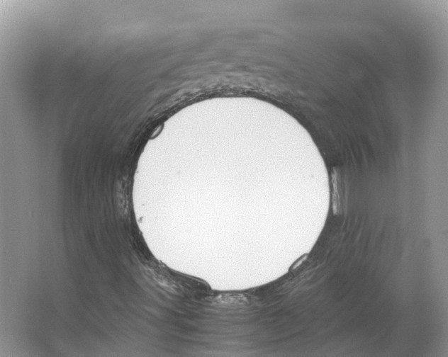 X0000066501491200604141708
