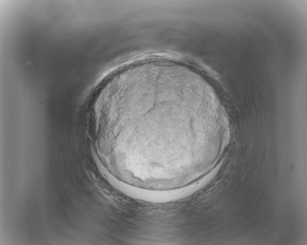X0000066501496200604141709