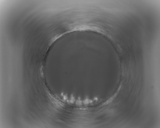 X0000066501497200604141709