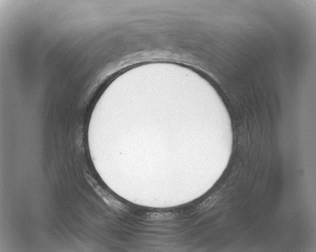 X0000066501499200604141709