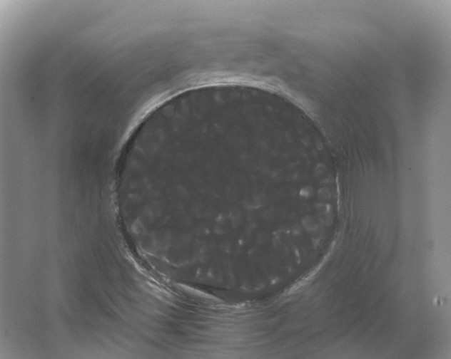 X0000066501501200604141709
