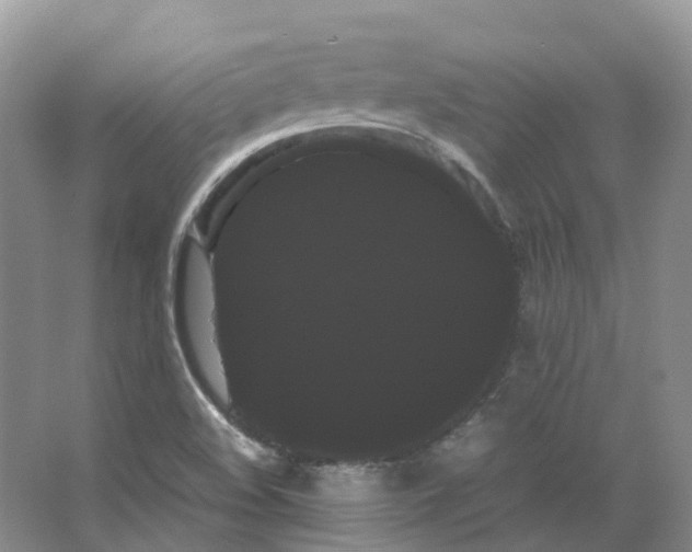 X0000066501508200604141709
