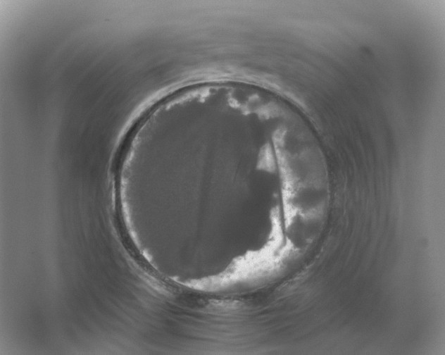 X0000066501509200604141709
