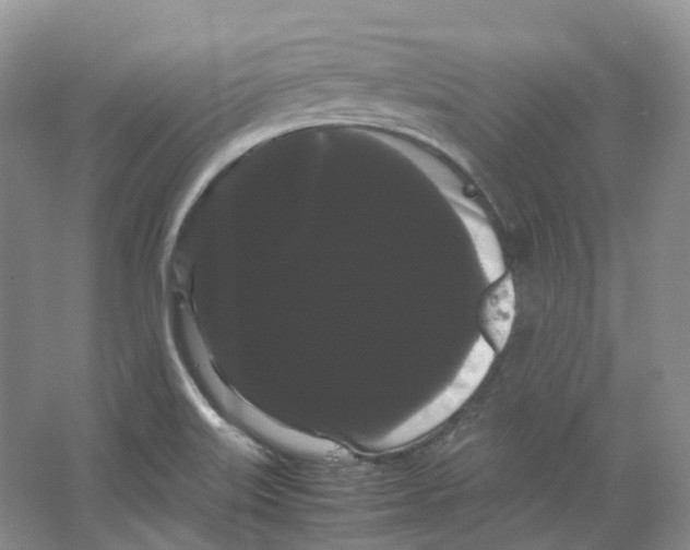 X0000066501515200604141709