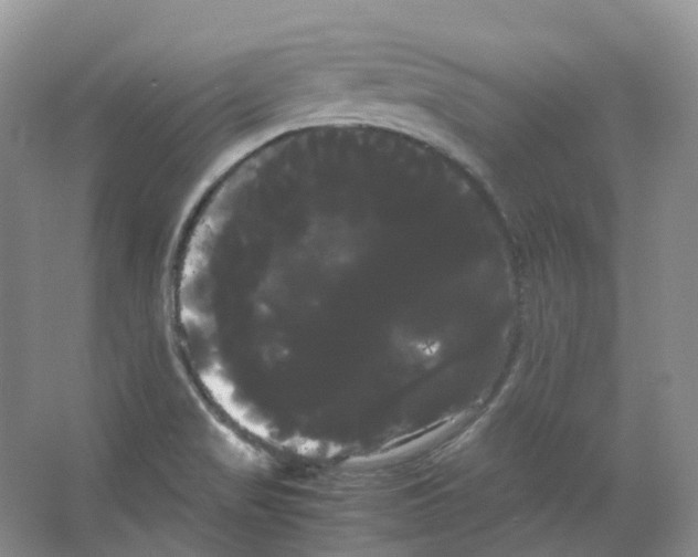 X0000066501517200604141709