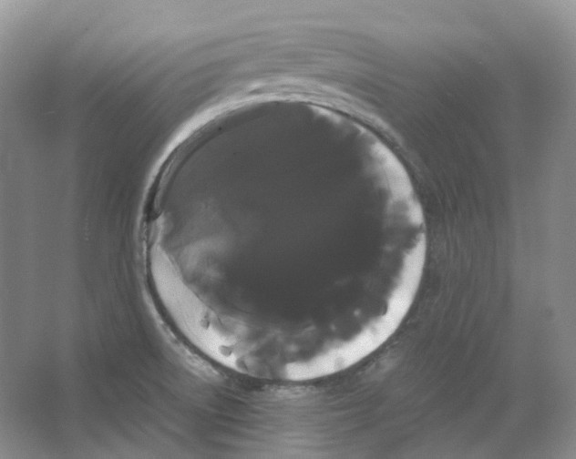 X0000066501522200604141709