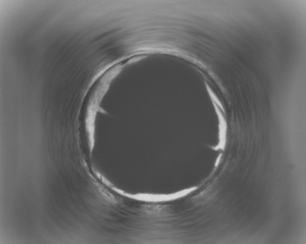 X0000066501529200604141709