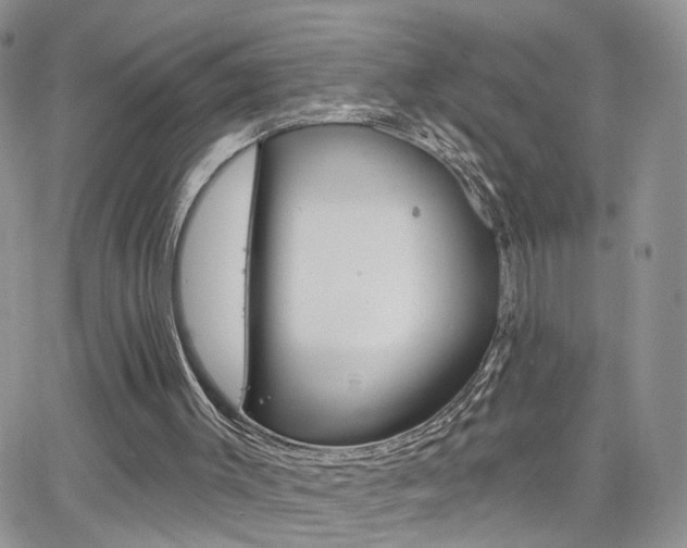 X0000066510003200603170937