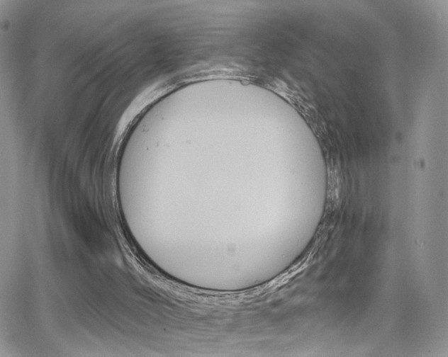 X0000066510004200603170937