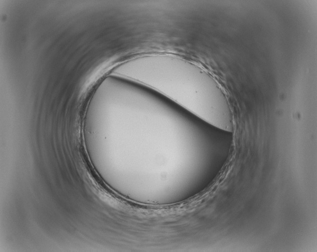 X0000066510005200603170937