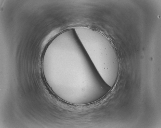 X0000066510006200603170937