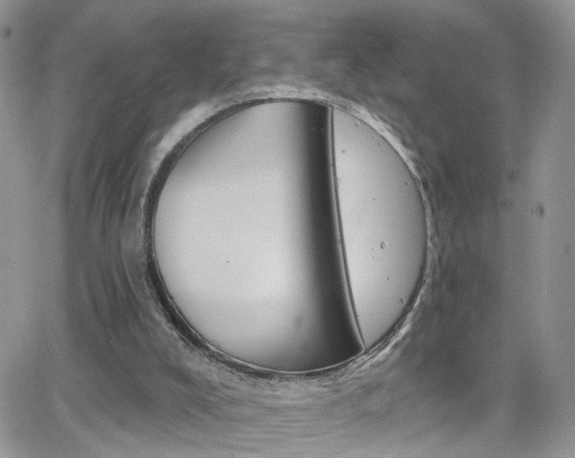 X0000066510008200603170937