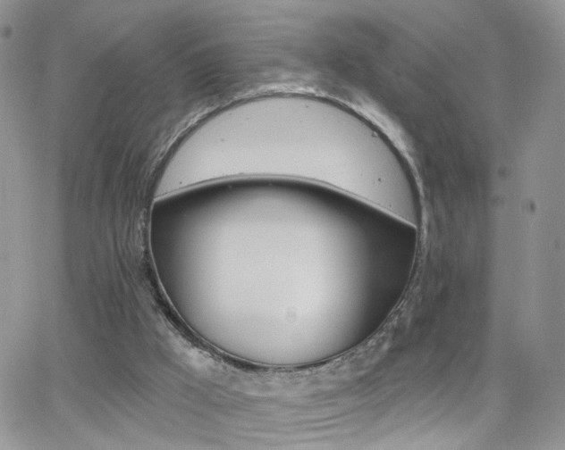 X0000066510009200603170937