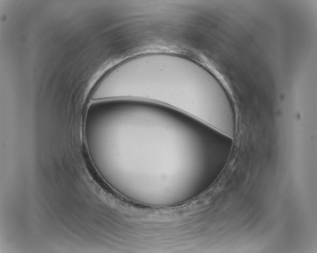 X0000066510011200603170936