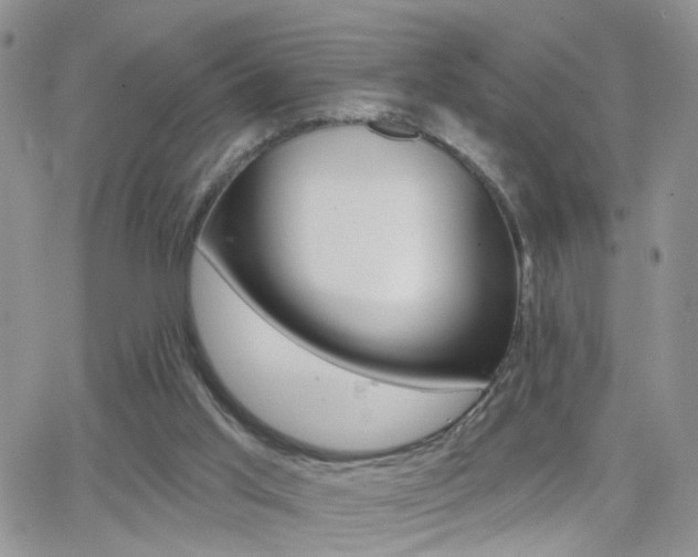 X0000066510013200603170936